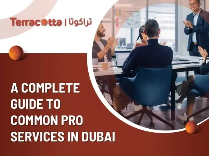Guide to common PRO services in Dubai